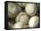 Close-up of Baseballs-null-Framed Stretched Canvas