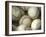 Close-up of Baseballs-null-Framed Premium Photographic Print