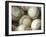 Close-up of Baseballs-null-Framed Photographic Print