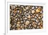 Close-up of beach rocks, Oregon-Stuart Westmorland-Framed Photographic Print