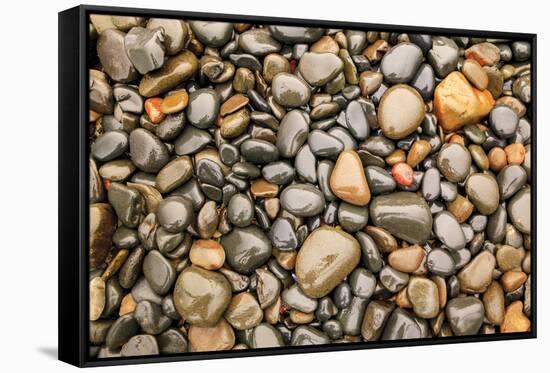Close-up of beach rocks, Oregon-Stuart Westmorland-Framed Stretched Canvas