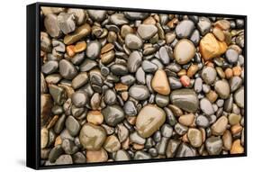 Close-up of beach rocks, Oregon-Stuart Westmorland-Framed Stretched Canvas