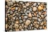 Close-up of beach rocks, Oregon-Stuart Westmorland-Stretched Canvas