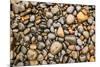 Close-up of beach rocks, Oregon-Stuart Westmorland-Mounted Premium Photographic Print