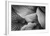 Close-Up of Big Hosta Leaves Covering Each Other-Henriette Lund Mackey-Framed Photographic Print