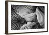 Close-Up of Big Hosta Leaves Covering Each Other-Henriette Lund Mackey-Framed Photographic Print