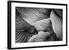 Close-Up of Big Hosta Leaves Covering Each Other-Henriette Lund Mackey-Framed Photographic Print