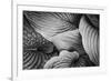 Close-Up of Big Hosta Leaves Covering Each Other-Henriette Lund Mackey-Framed Photographic Print