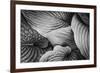 Close-Up of Big Hosta Leaves Covering Each Other-Henriette Lund Mackey-Framed Photographic Print