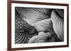 Close-Up of Big Hosta Leaves Covering Each Other-Henriette Lund Mackey-Framed Photographic Print