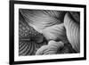 Close-Up of Big Hosta Leaves Covering Each Other-Henriette Lund Mackey-Framed Photographic Print