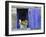 Close-Up of Blue Shutter, Window and Yellow Pansies, Villefranche Sur Mer, Provence, France-Bruno Morandi-Framed Premium Photographic Print