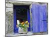 Close-Up of Blue Shutter, Window and Yellow Pansies, Villefranche Sur Mer, Provence, France-Bruno Morandi-Mounted Premium Photographic Print