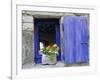 Close-Up of Blue Shutter, Window and Yellow Pansies, Villefranche Sur Mer, Provence, France-Bruno Morandi-Framed Photographic Print