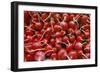 Close-Up of Bright Red Radishes. Tel Aviv Fruit, Vegetable Market, near Yafo in South Tel Aviv, Isr-James L Stanfield-Framed Giclee Print