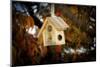 Close-up of broken birdhouse, Oakland, Alameda County, California, USA-Panoramic Images-Mounted Photographic Print