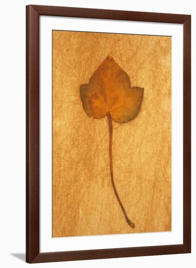 Close Up of Brown Autumn Or Winter Leaf of Ivy Or Hedera Helix Lying On Rough Beige Surface-Den Reader-Framed Photographic Print