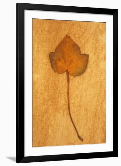 Close Up of Brown Autumn Or Winter Leaf of Ivy Or Hedera Helix Lying On Rough Beige Surface-Den Reader-Framed Photographic Print