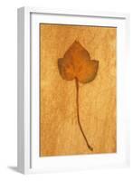 Close Up of Brown Autumn Or Winter Leaf of Ivy Or Hedera Helix Lying On Rough Beige Surface-Den Reader-Framed Photographic Print