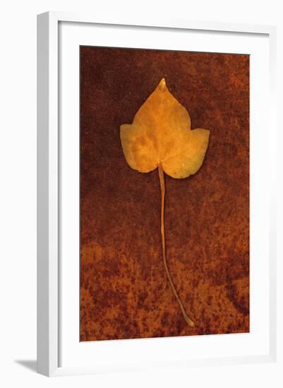 Close Up of Brown Autumn Or Winter Leaf of Ivy Or Hedera Helix Lying On Rusty Metal Sheet-Den Reader-Framed Photographic Print