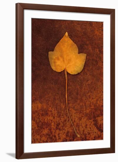 Close Up of Brown Autumn Or Winter Leaf of Ivy Or Hedera Helix Lying On Rusty Metal Sheet-Den Reader-Framed Photographic Print