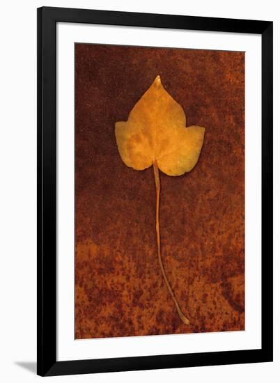 Close Up of Brown Autumn Or Winter Leaf of Ivy Or Hedera Helix Lying On Rusty Metal Sheet-Den Reader-Framed Photographic Print