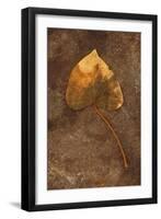 Close Up of Brown Autumn Or Winter Leaf of Ivy Or Hedera Helix Lying On Tarnished Metal-Den Reader-Framed Photographic Print