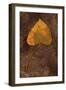 Close Up of Brown Autumn Or Winter Leaf of Ivy Or Hedera Helix Lying On Tarnished Metal-Den Reader-Framed Photographic Print