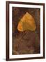 Close Up of Brown Autumn Or Winter Leaf of Ivy Or Hedera Helix Lying On Tarnished Metal-Den Reader-Framed Photographic Print