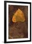 Close Up of Brown Autumn Or Winter Leaf of Ivy Or Hedera Helix Lying On Tarnished Metal-Den Reader-Framed Photographic Print