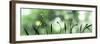 Close-Up of Buds-null-Framed Photographic Print