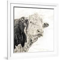 Close Up of Bull's Head-Mark Gemmell-Framed Photographic Print