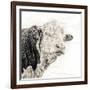 Close Up of Bull's Head-Mark Gemmell-Framed Photographic Print