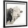 Close Up of Bull's Head-Mark Gemmell-Framed Photographic Print