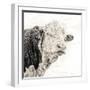 Close Up of Bull's Head-Mark Gemmell-Framed Premium Photographic Print