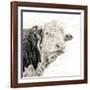 Close Up of Bull's Head-Mark Gemmell-Framed Photographic Print