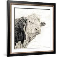 Close Up of Bull's Head-Mark Gemmell-Framed Photographic Print