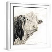 Close Up of Bull's Head-Mark Gemmell-Framed Photographic Print