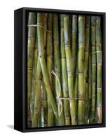 Close-Up of Bundles of Sugar Cane in Mexico, North America-Michelle Garrett-Framed Stretched Canvas