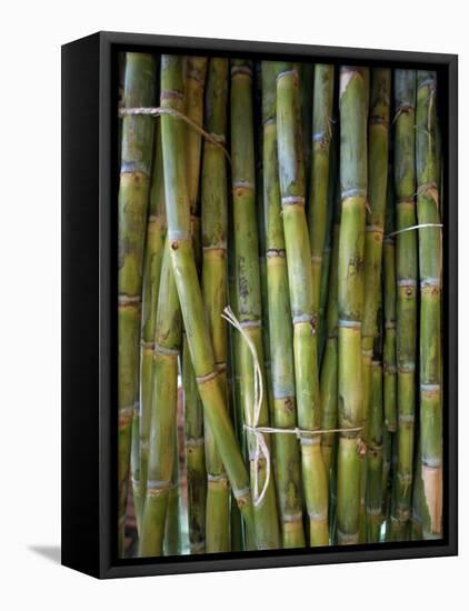 Close-Up of Bundles of Sugar Cane in Mexico, North America-Michelle Garrett-Framed Stretched Canvas