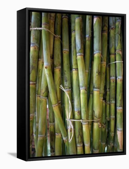 Close-Up of Bundles of Sugar Cane in Mexico, North America-Michelle Garrett-Framed Stretched Canvas