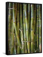 Close-Up of Bundles of Sugar Cane in Mexico, North America-Michelle Garrett-Framed Stretched Canvas