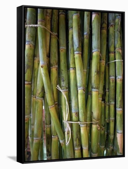 Close-Up of Bundles of Sugar Cane in Mexico, North America-Michelle Garrett-Framed Stretched Canvas