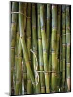 Close-Up of Bundles of Sugar Cane in Mexico, North America-Michelle Garrett-Mounted Photographic Print