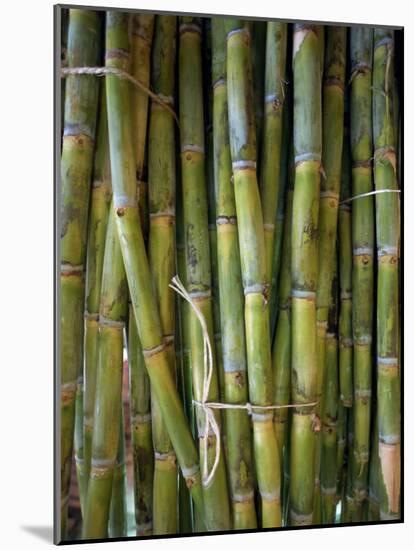 Close-Up of Bundles of Sugar Cane in Mexico, North America-Michelle Garrett-Mounted Photographic Print