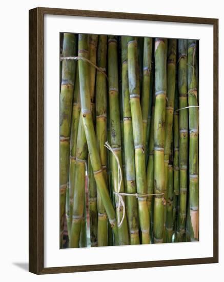 Close-Up of Bundles of Sugar Cane in Mexico, North America-Michelle Garrett-Framed Photographic Print