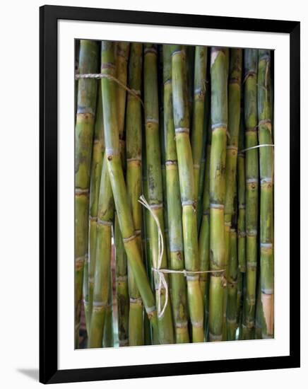 Close-Up of Bundles of Sugar Cane in Mexico, North America-Michelle Garrett-Framed Photographic Print
