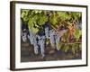 Close Up of Cabernet Sauvignon Grapes, Haras De Pirque Winery, Pirque, Maipo Valley, Chile-Janis Miglavs-Framed Photographic Print