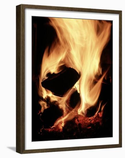 Close-up of Campfire at Night-John Coletti-Framed Premium Photographic Print