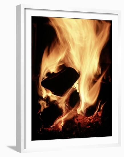 Close-up of Campfire at Night-John Coletti-Framed Premium Photographic Print